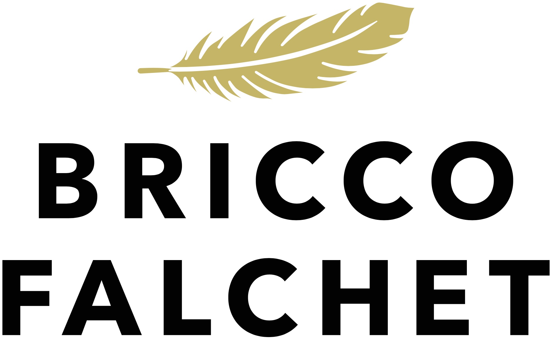 Bricco Falchet
